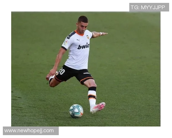 费兰托雷斯的崛起之路：从青训天才到足球明星的奋斗历程